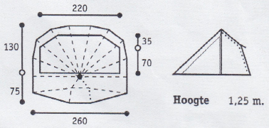 Lieveheersbeestje maten