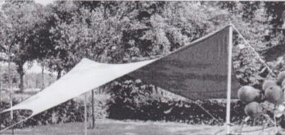 vleermuis tarp