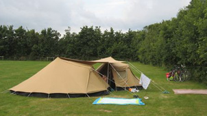 hermelijn tl